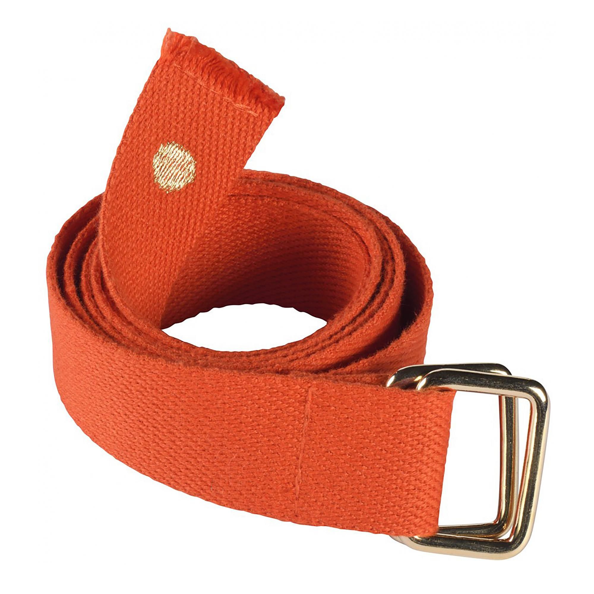 Ceinture Ursule Tangerine 3 x 110