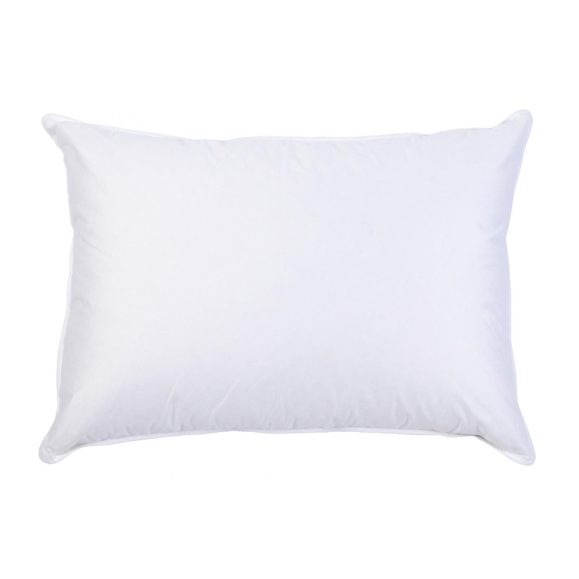 Interieur de coussin Plumes Blanc 50 x 30