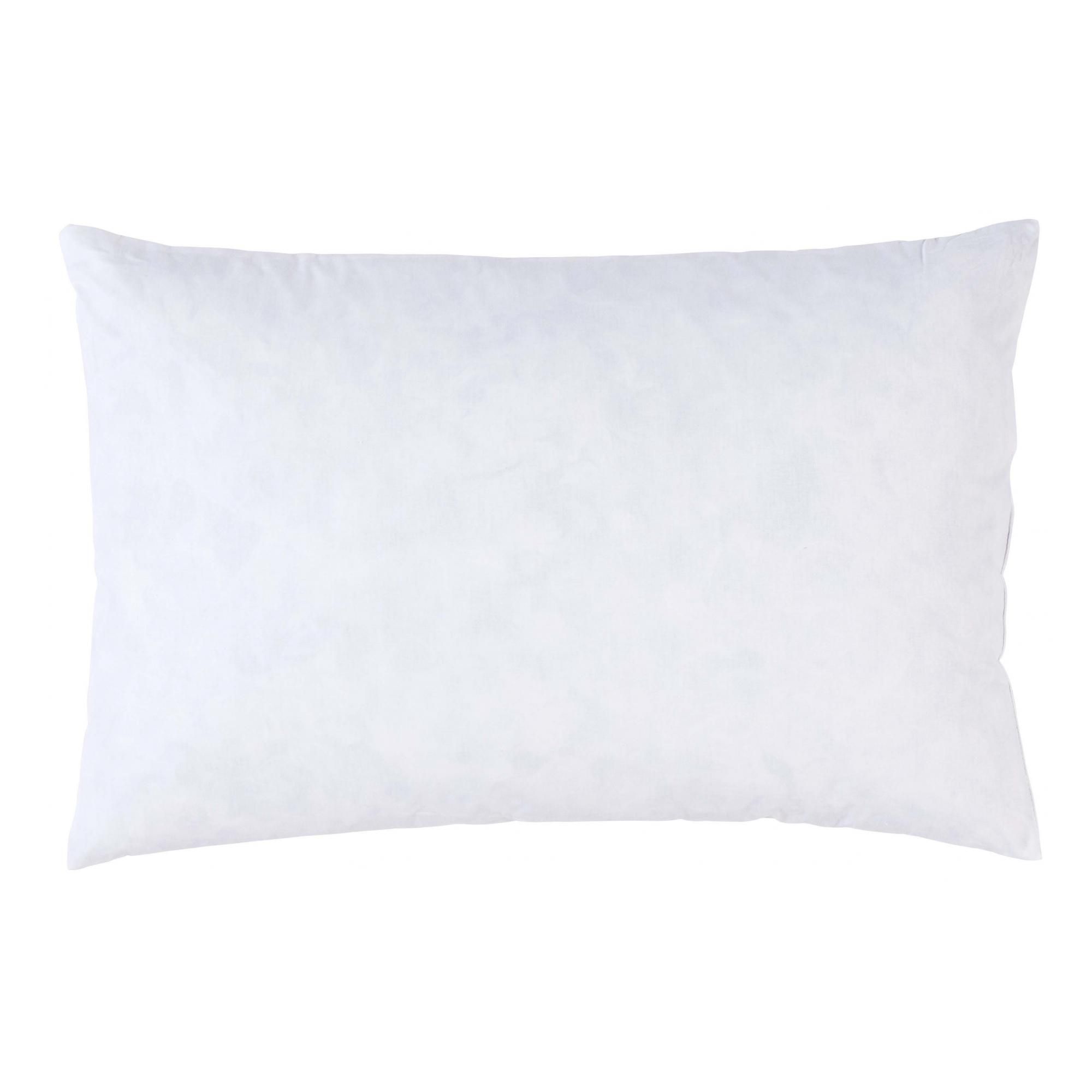 Interieur de coussin Plumes Blanc 60 x 40