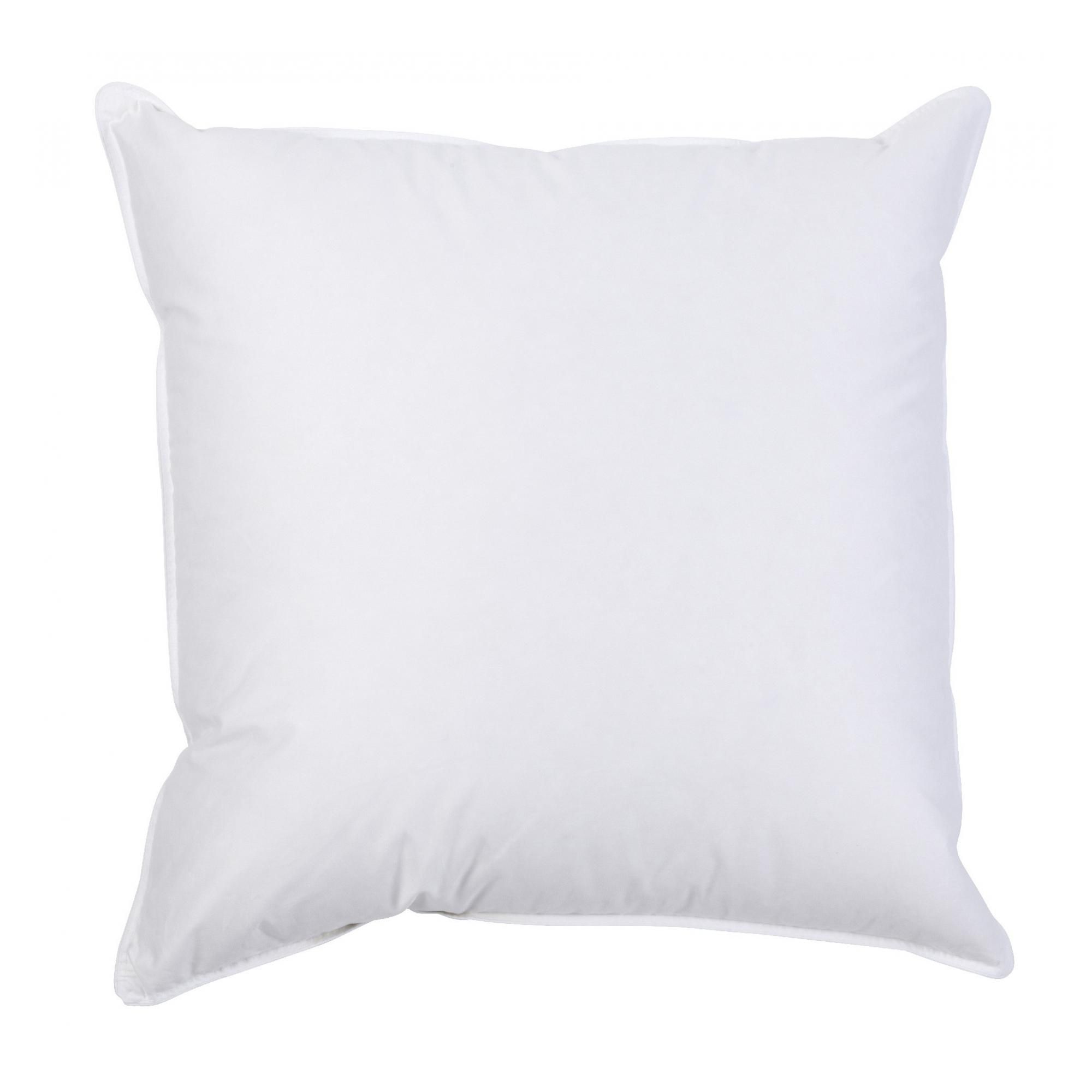 Interieur de coussin Plumes Blanc 50 x 50